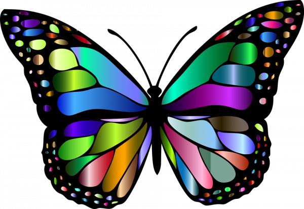 Image for event: CraftTEEN: Yarn Butterflies